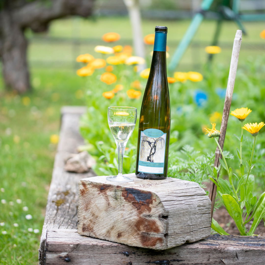 English Wine Week Journal